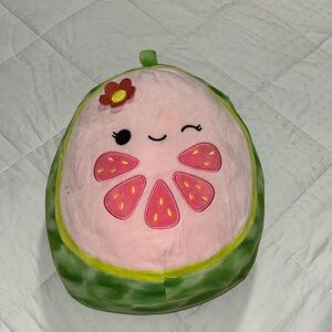 Watermelon Squishmallow